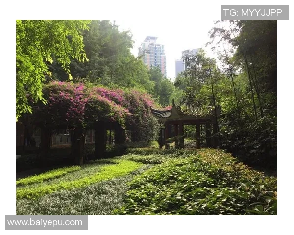 脏辫足球明星崛起背后故事揭秘 从街头到绿茵场的励志传奇 脏辫足球明星崛起背后故事揭秘 从街头到绿茵场的励志传奇