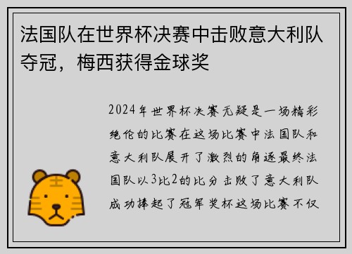 法国队在世界杯决赛中击败意大利队夺冠，梅西获得金球奖