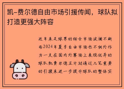 凯-费尔德自由市场引援传闻，球队拟打造更强大阵容