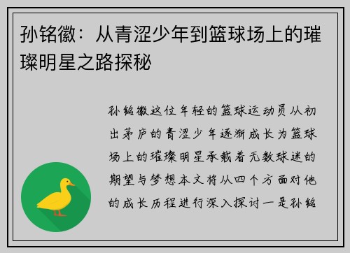 孙铭徽：从青涩少年到篮球场上的璀璨明星之路探秘