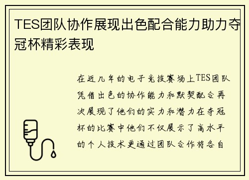 TES团队协作展现出色配合能力助力夺冠杯精彩表现