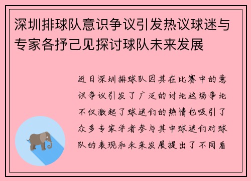 深圳排球队意识争议引发热议球迷与专家各抒己见探讨球队未来发展